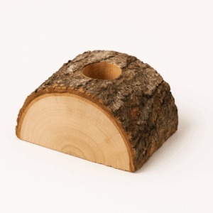 Pied de Sapin - Buche pour sapin